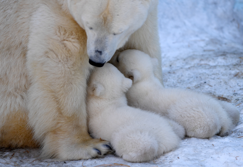 连跌‘！’节后创新药遭遇“高台跳水”，板块却仍值得看好？
