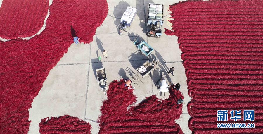 台州<监>管分局同意中信保诚人寿 台州中心支公司变更营业场所