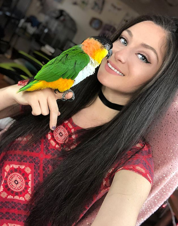 国轩:高科24亿美元美国项目折戟，市场反应冷淡