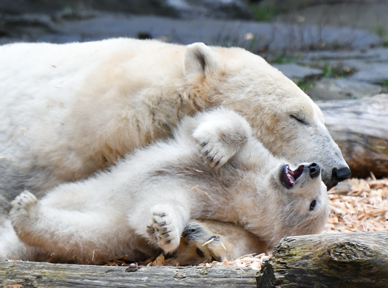 喜报！九恒星携手广汽集团，共启汽车行业全球智慧司库新征程
