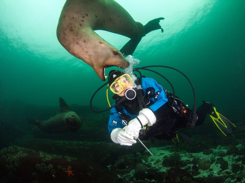 海—伦哲：终止股权并购合作协议