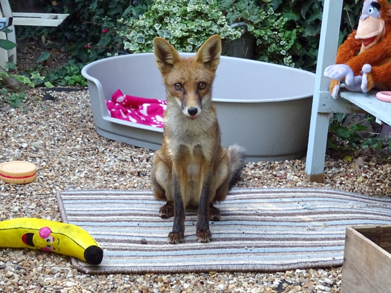 尼达姆维持台积电“买入”评级，看好其强劲利润率及AI前景