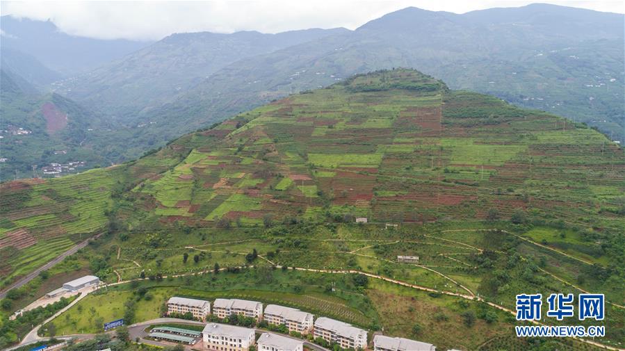 小;米1,7将亮相 超万家小米门店在美团闪购同步首发开售 30分钟即可送到家