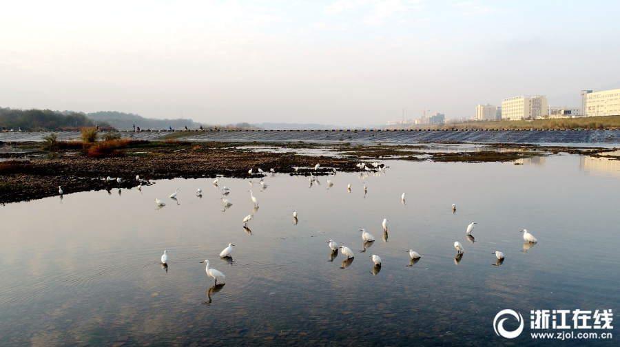 38只股上午收<盘>涨停(附股)