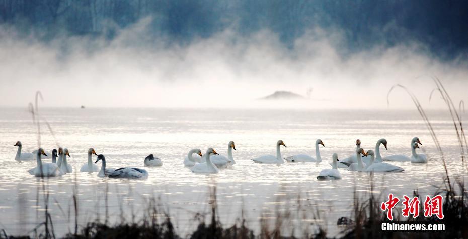 乌:克兰总‘统’访问希腊 两国达成天然气供应协议