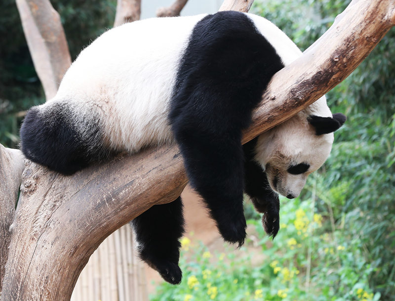 金;价上涨，美三大股指反弹，发生了什么？