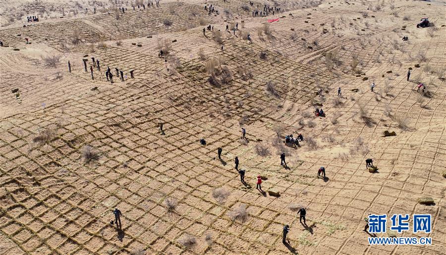 货!车.保险之困调查：成本高企与风险难控问题待解