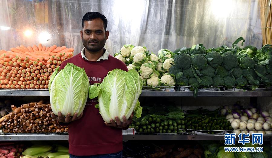 4;年200亿人次报销，未来五年全民医保如何升级