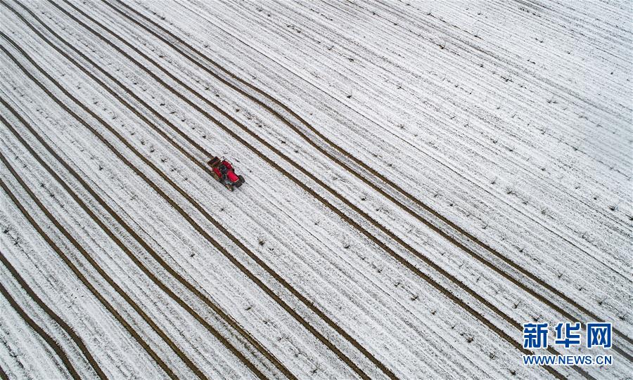 “玉”:见未—来：东北新粮上市前，深加工企业新增需求“杯水车薪”