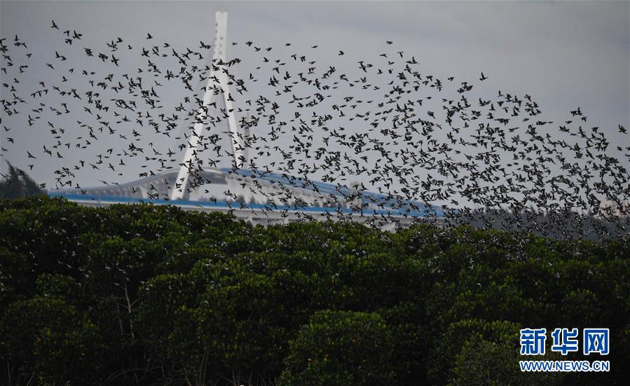 Adye;n上半年每股收益15.22欧元