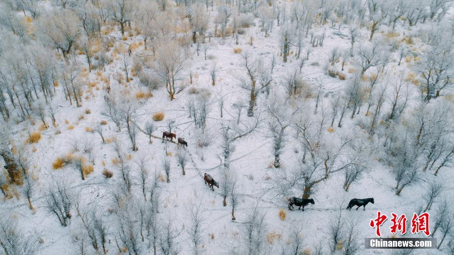马斯?克<称>特斯拉自研数百万颗AI芯片 目标夺取AI芯片主导权