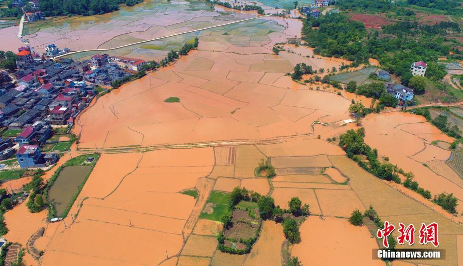 美国;债市：美债上涨且收益率曲线走平 受到欧债和油价走势支撑