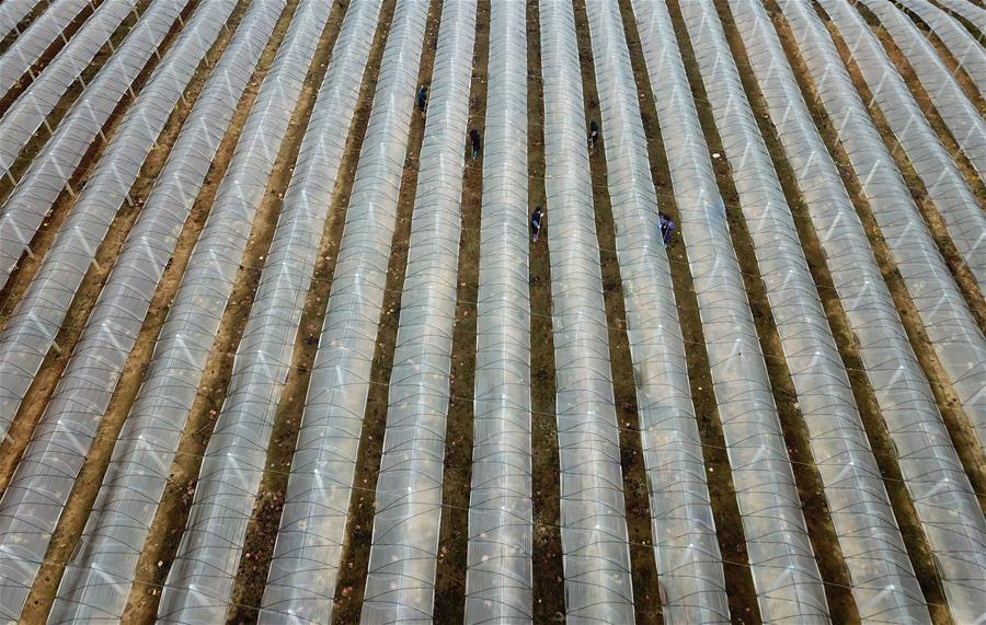 万盛股份‘5’%以上股东部分股份质押公告