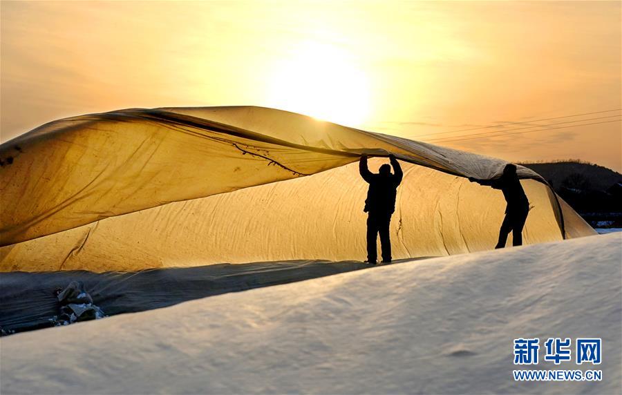 山东黄?金!：7月31日黄金集团增持公司50万股A股股份