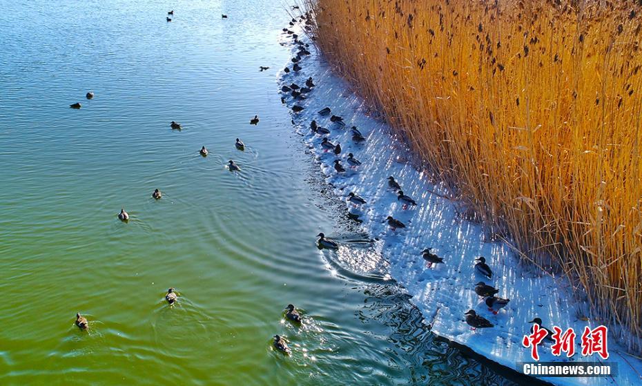 影视院线板块异动拉升，中国电影涨停