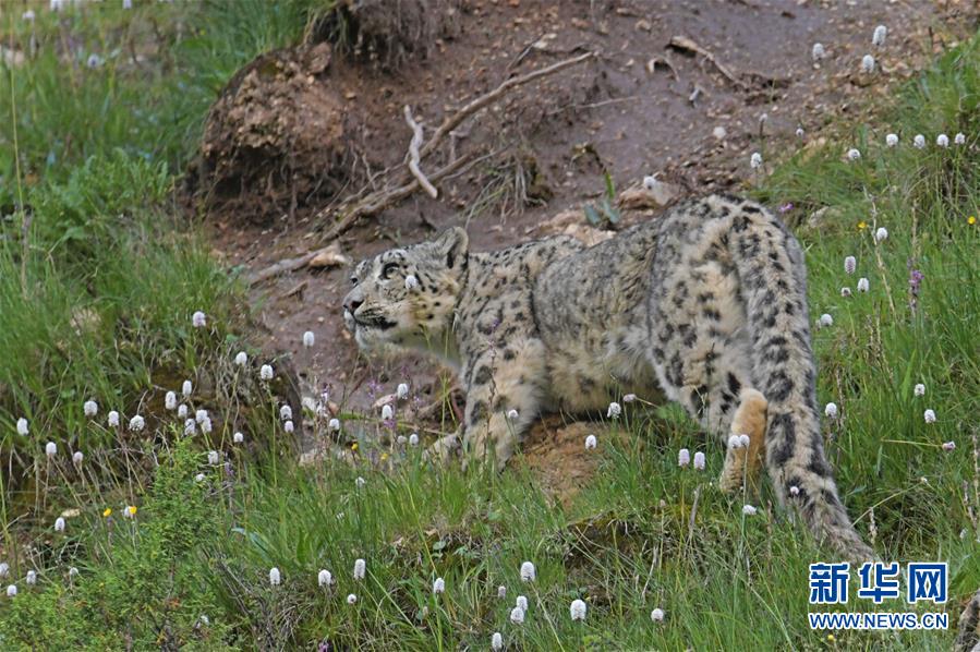 F‘P’G财盛国际:制裁加码或扰动全球原油流向