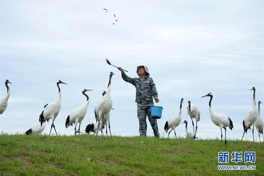 ST‘东’通：年薪百万!董事长被立案调查，公司3年亏损12亿