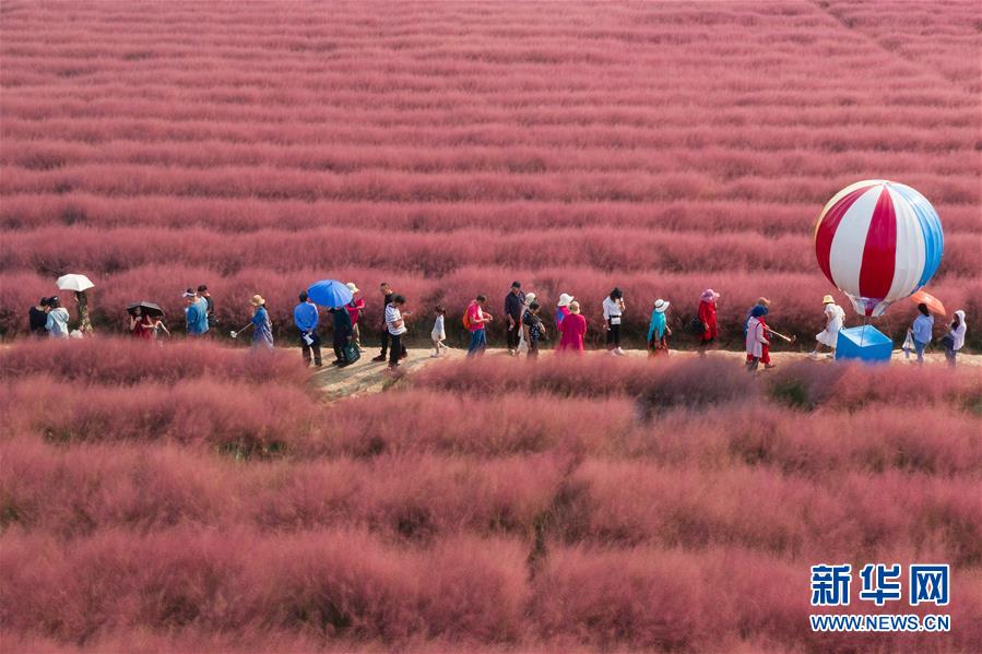 佰‘维’存储发生4笔.大宗交易 合计成交8917.65万元