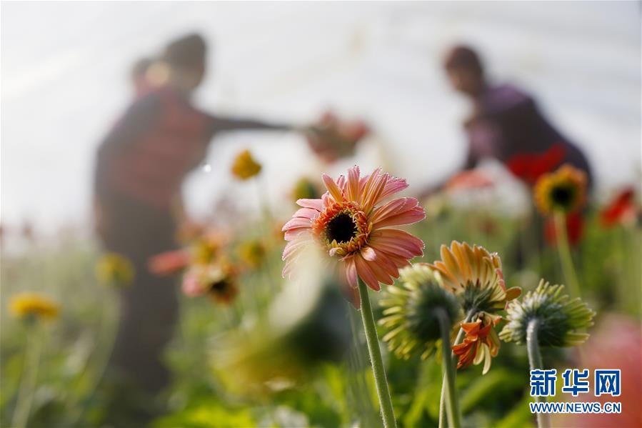 特斯拉Mod<e>l 3长:续航后轮驱动版已上线：续航里程830公里 售价26.95万元起