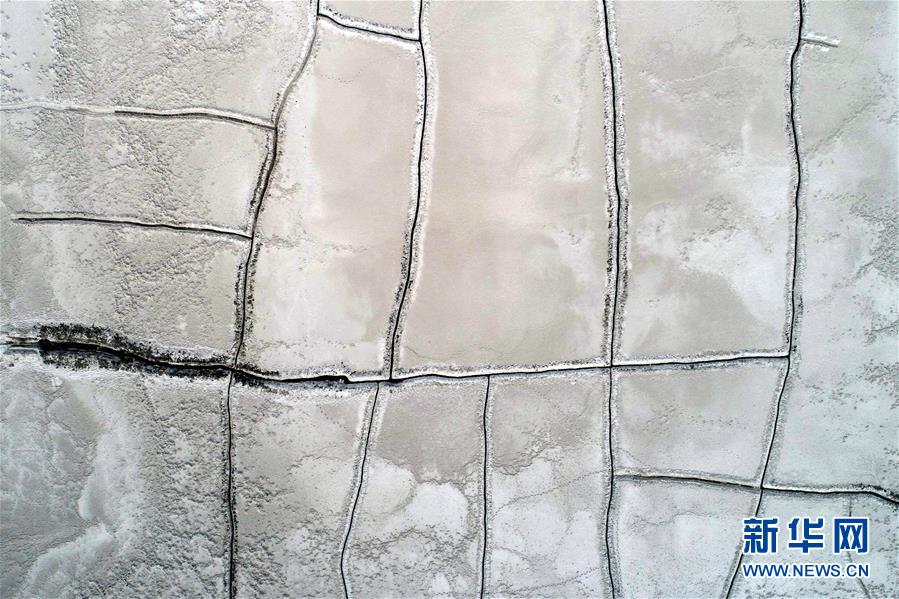 中国<核>电发布“八方核护”技术服务产品 一站式核电技术服务即将出海