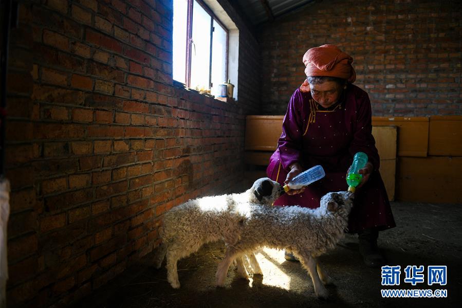 上善黄;金发盈喜 ;预期中期业绩大幅提升收益同比大增约139.8%