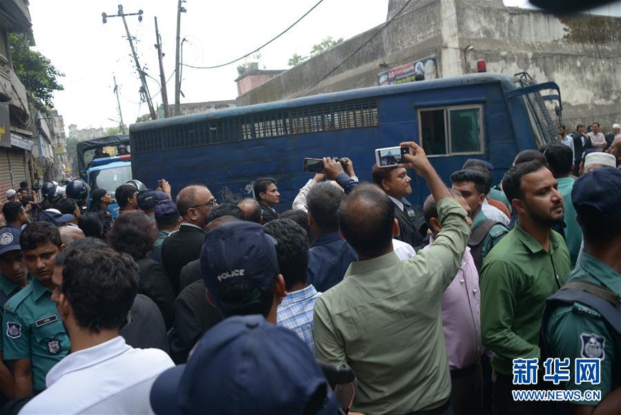 猪肉养殖板块;震荡调整，!天域生物触及跌停