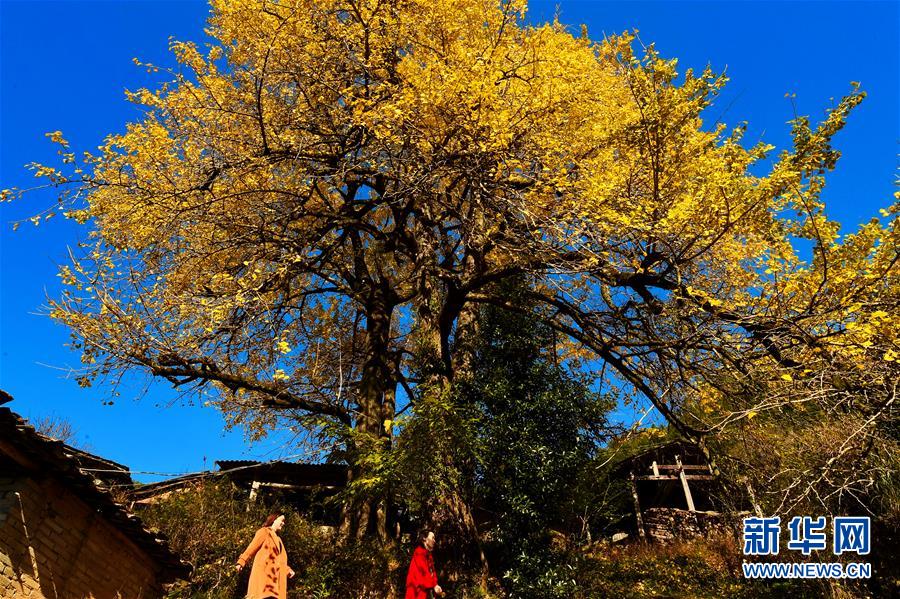 中小银行—存款增.速趋缓的背后