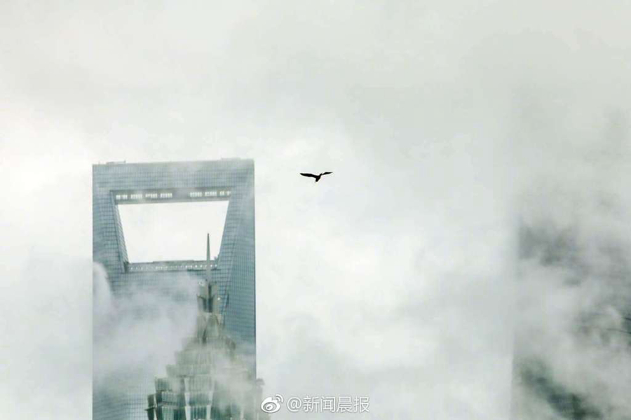 肇民;科技:：截至2025年10月31日公司股东人数为24850户