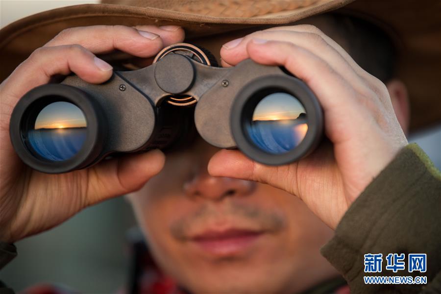 东田微12月1日龙虎榜数据?