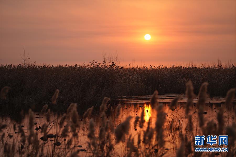 奇!安信:安全大模型登顶CyberSec-Eval评测榜，八项第一彰显安全AI硬实力