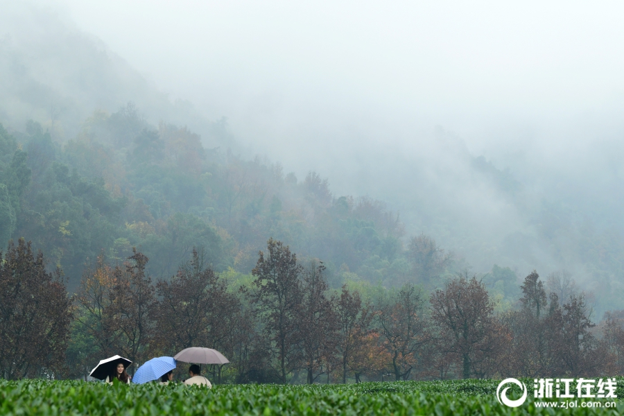 华,帝半年报：“产品+渠道”，撬开高端市场