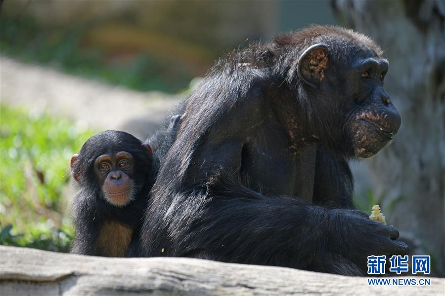 百.度市;值突破3700亿港元背后的“关键先生”