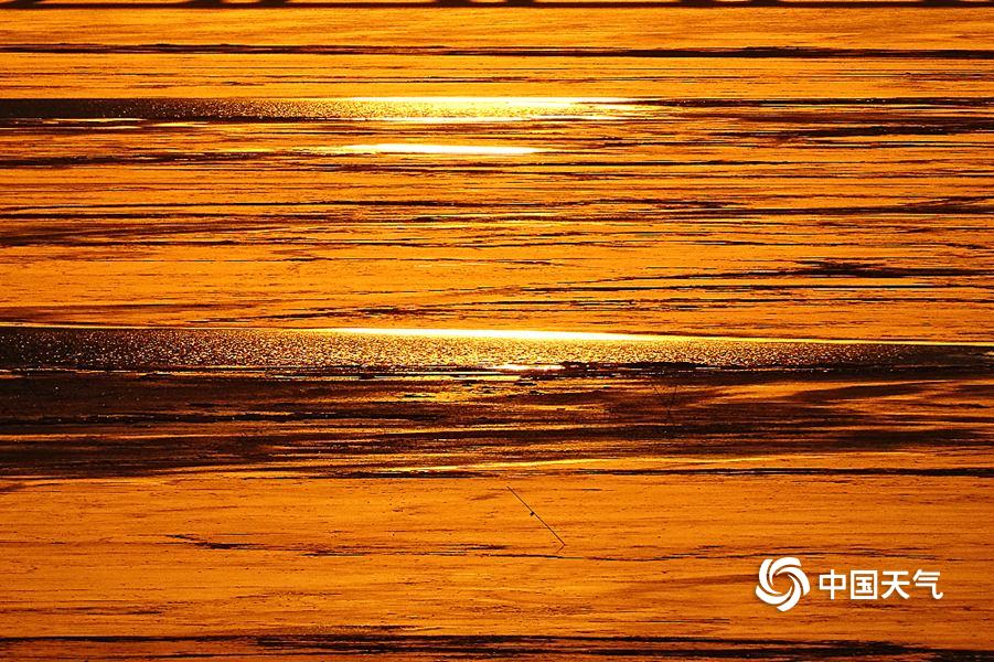 非—瘟再现+政策强力去产能，猪周期拐点将至？农牧渔ETF（159275）逆市上探1.5%，四大细分领域获机构看好！