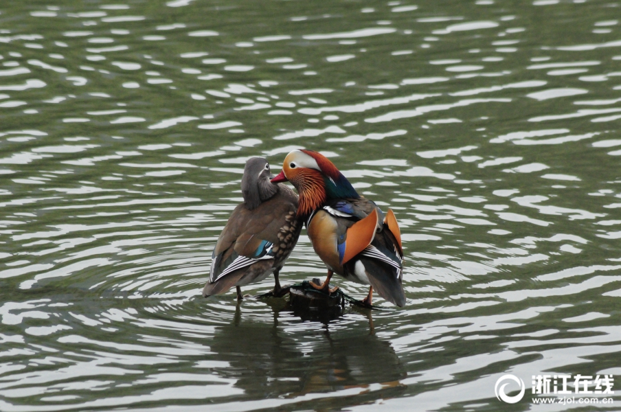 贝森特意?外现身“比特币主题酒吧”，币圈“喜出望外”：这就是信号！
