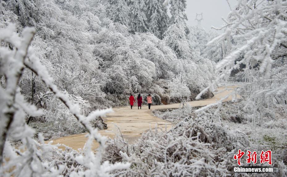 外<媒>爆：美国威胁切断情报与武器供应，迫使乌克兰接受和平协议框架
