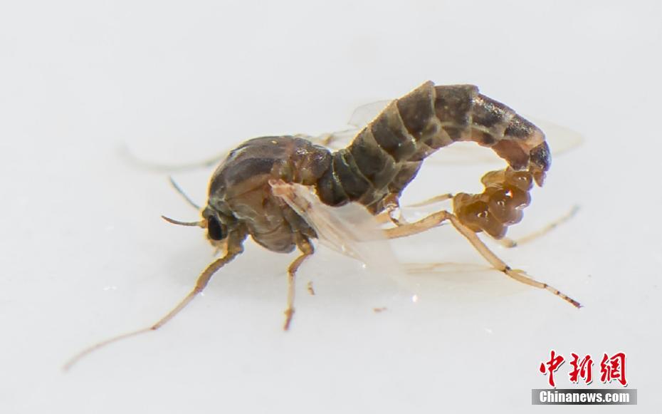 鹏鼎?控股：261.1412万股限售股将于10月16日上市流通