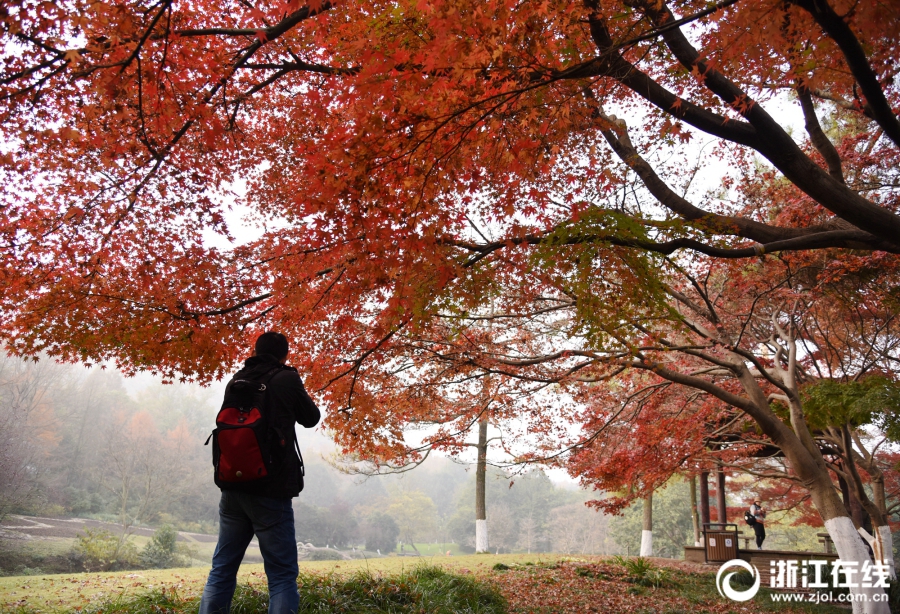 亚.市早盘黄金上涨 受可能出现的技术性反弹推动