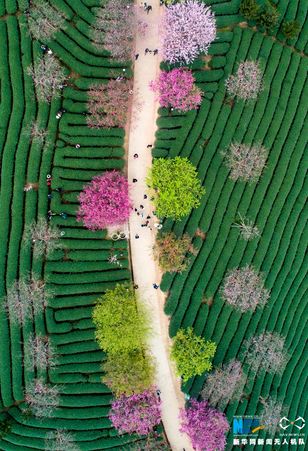 特朗普与美?联储.斗争升级！华尔街警告：美国陷入滞胀可能性升高