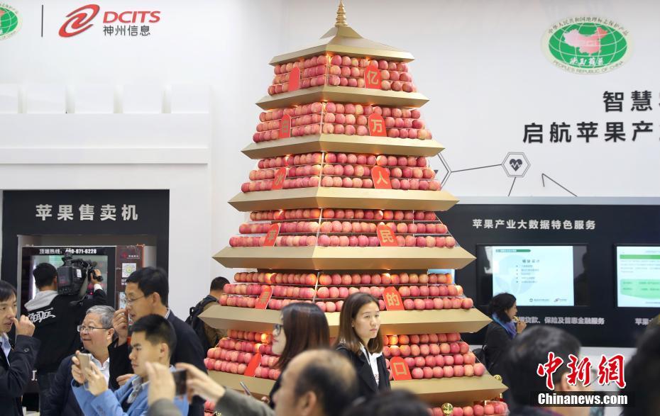 华府:拒,绝联邦接管警权：特朗普援引“自治法”第740条遭回击