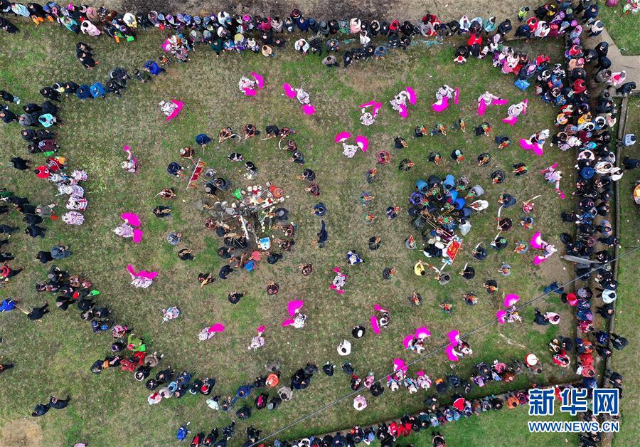 赛力斯，通?过<港>交所聆讯！