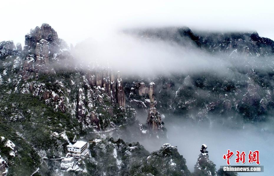 拼多,多电话会：甘于牺牲短期利润，长期坚持反哺生态