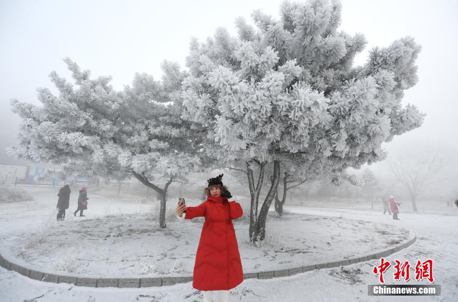 杉杉重!整生变！{}