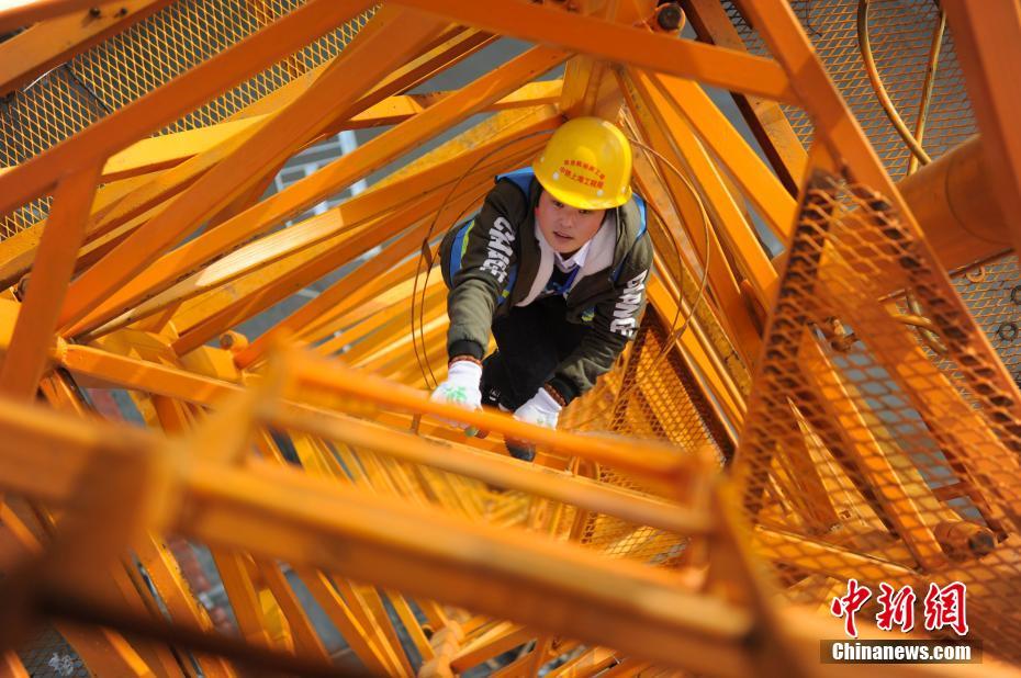 安.井!食品：分红回馈与战略升级双轮驱动，成就资本市场新标的