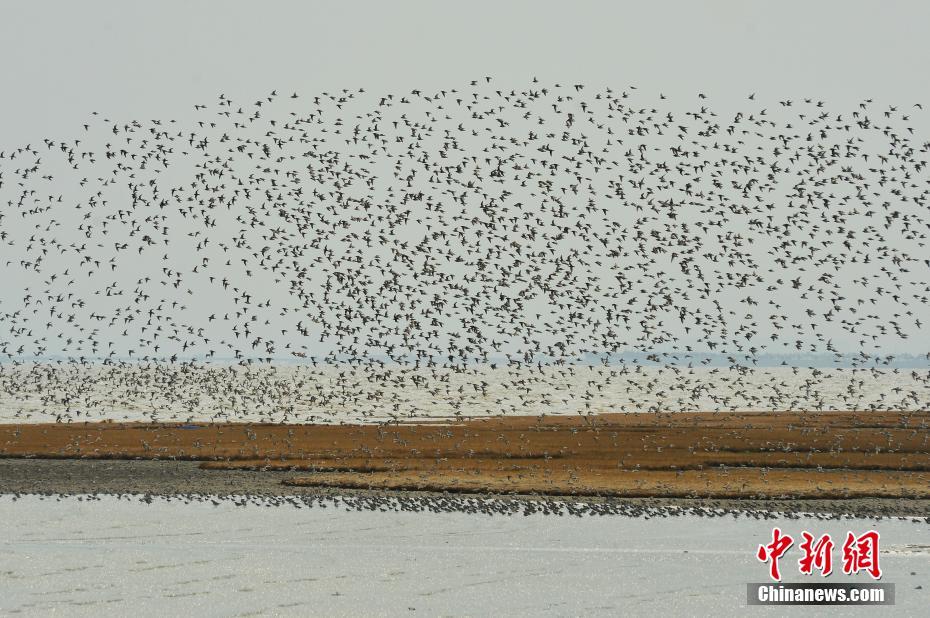 A<s>htead一季度利润下滑6%，赴美上市一次性成本拖累，上调2026财年自由现金流目标