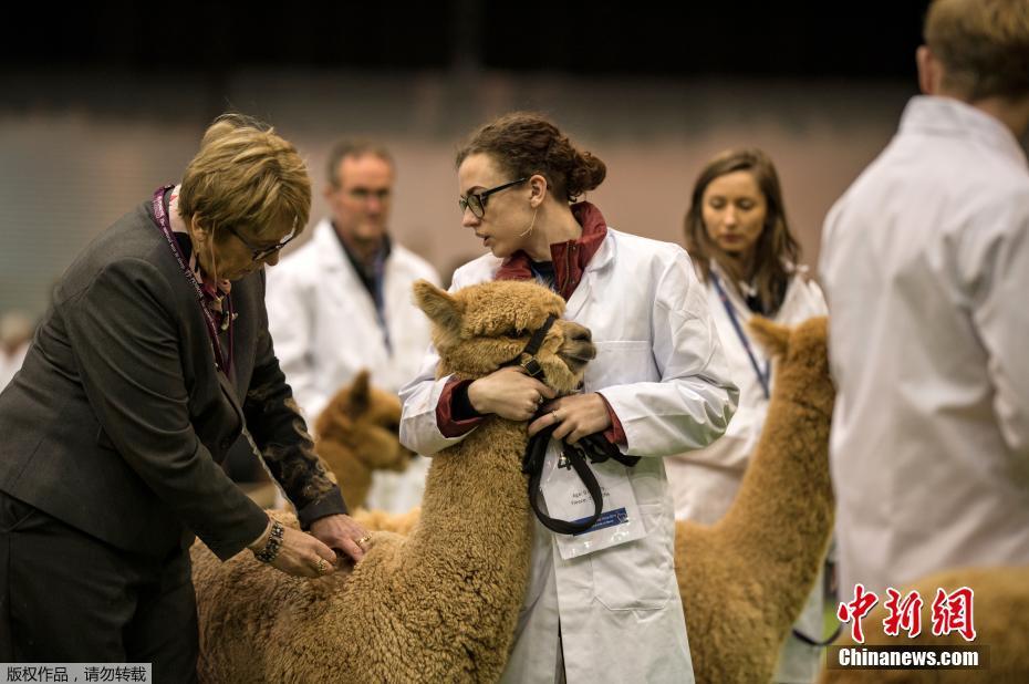 唯之能源所<持>股份.全部被拍卖过户 “A股光伏第一股”亿晶光电变更为无控股股东及实际控制人