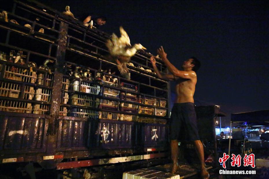 飞.力达：公司及子公司无逾期担保