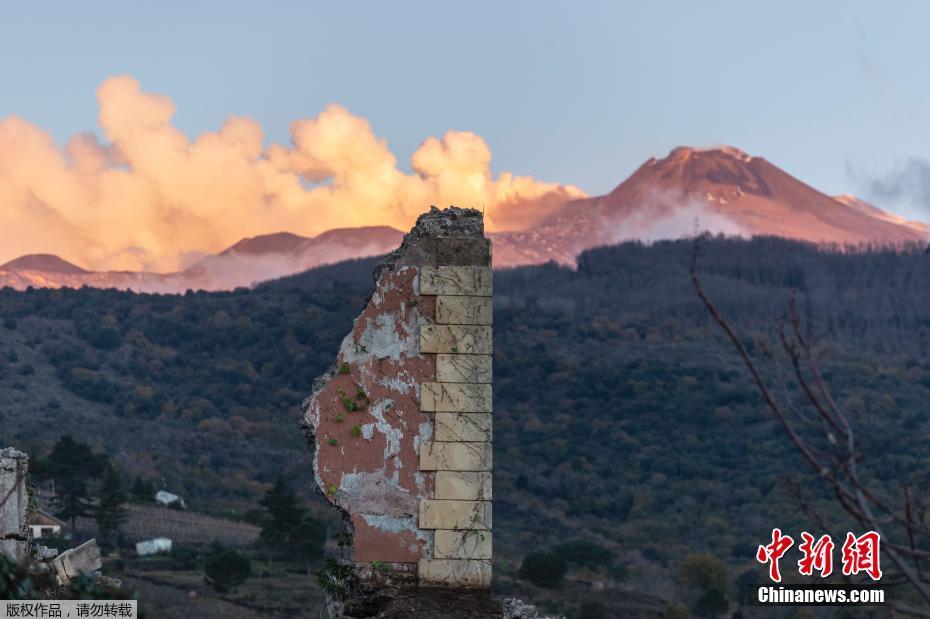 招金‘黄’金（?000506）2025年中报简析：营收净利润同比双双增长，盈利能力上升