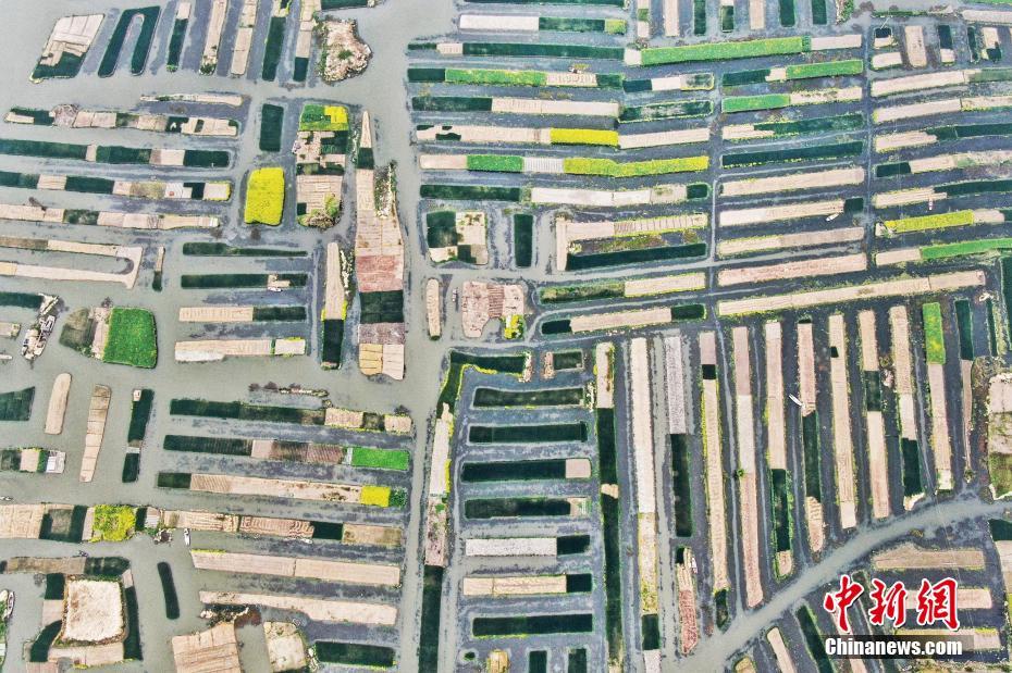 华—胜天成与{S}uperX共建全球AI服务合资企业