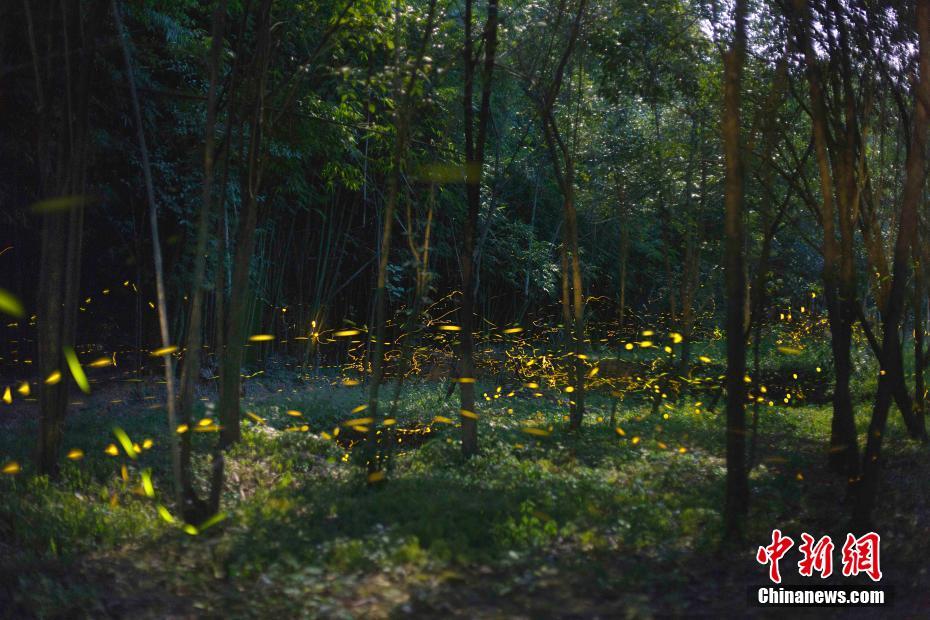 A.股芯片行‘业’并购研究报告：从产业链整合到战略协同