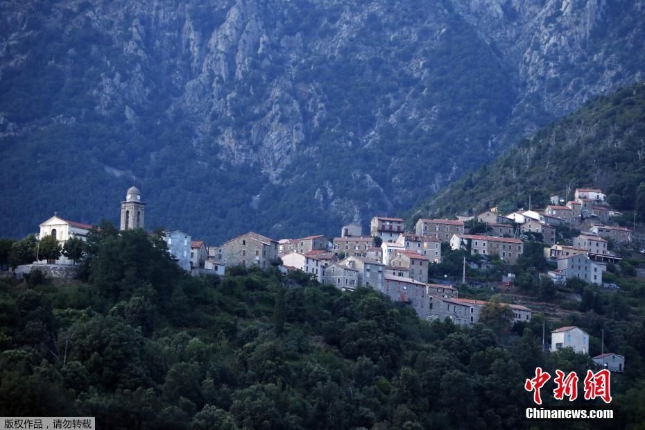 日媒:：森林面积萎缩是对人类的考验